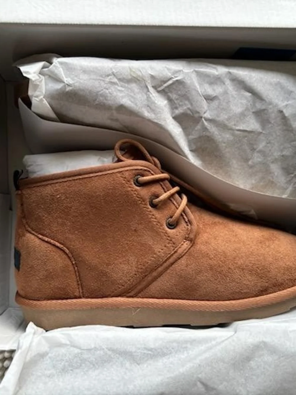 Nautica Kids Suede Chestnut Lace-Up Chukka Boots